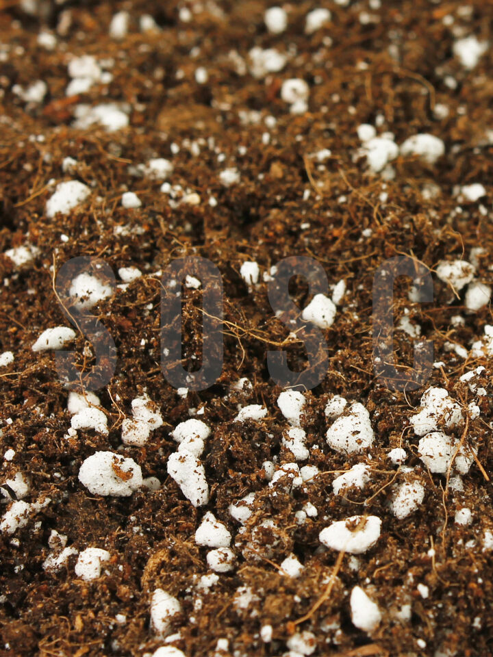 SOSC SUBSTRAT LIGHT MIX 3 LT
