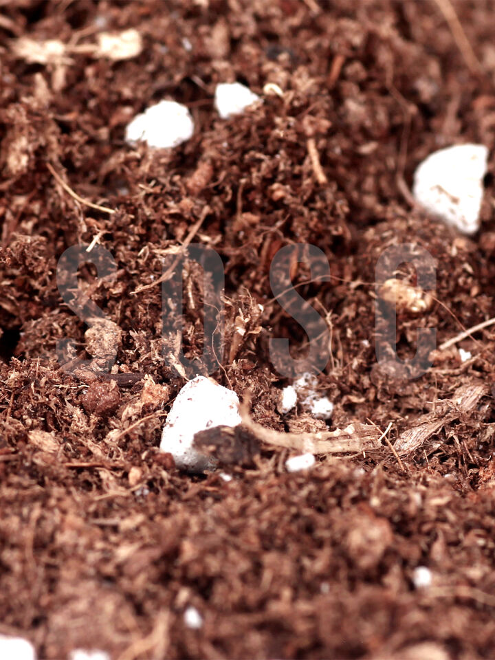 Substrat Mix Ithal Torf Cocopeat Perlit Özel Karışım Saksı Harcı Çiçek Ve Bitki Toprağı 1 LT
