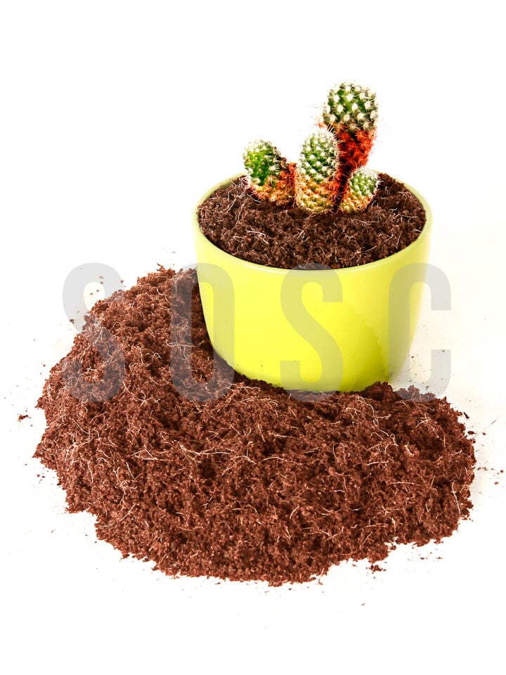 Hindistan Cevizi Torfu%100 Doğal Torf - Cocopeat Hindistan Cevizi Lifi - Doğal Bitki Toprağı 1 Lt